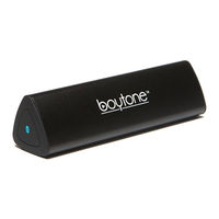boytone BT120 User Manual