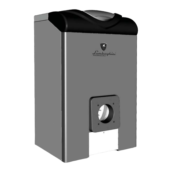 User Manuals: Lamborghini Caloreclima AXE3D 32 Boiler