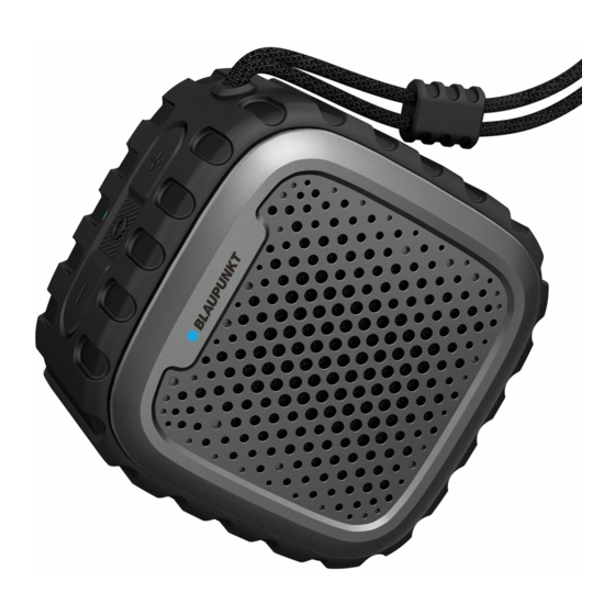 Blaupunkt BLP6110-001 Bluetooth Speaker Manuals