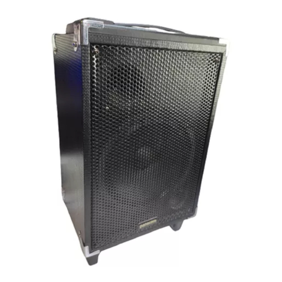 Panacom Stage Sound SP-3090 User Manual