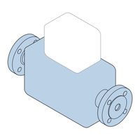 Endress+Hauser Flowmeter Proline Prosonic Flow P Brief Operating Instructions