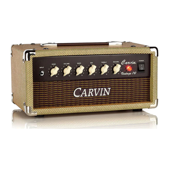 carvin vt50 head