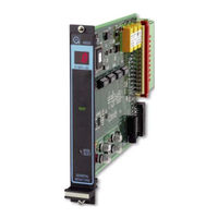 MSA General Monitors 4802A Manual