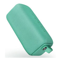 Fresh 'N Rebel ROCKBOX BOLD Manual