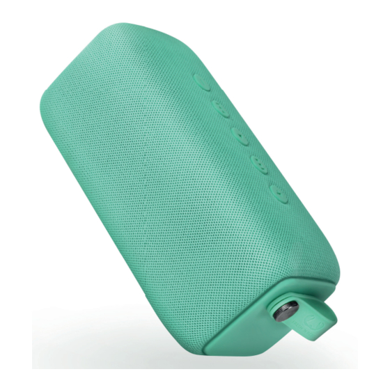 Fresh 'N Rebel ROCKBOX BOLD Manual