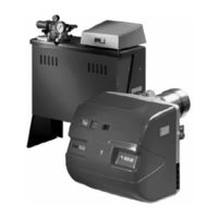 Riello bag 40 Installation, Use And Maintenance Instructions