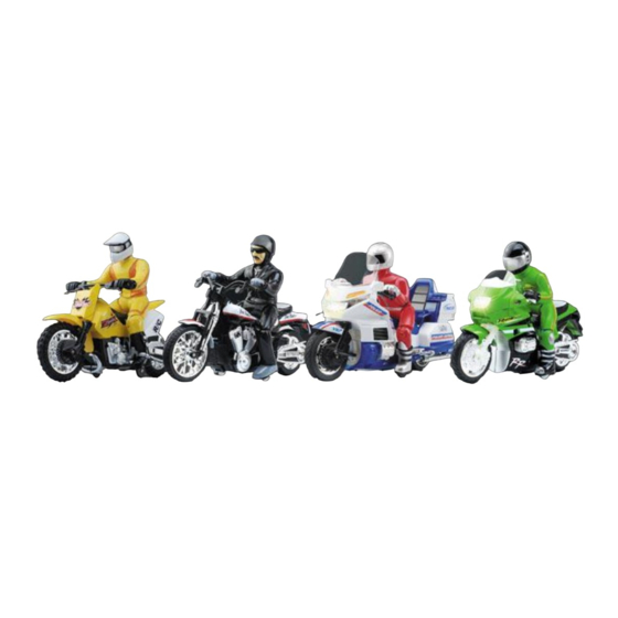 Rayline R202 Manual