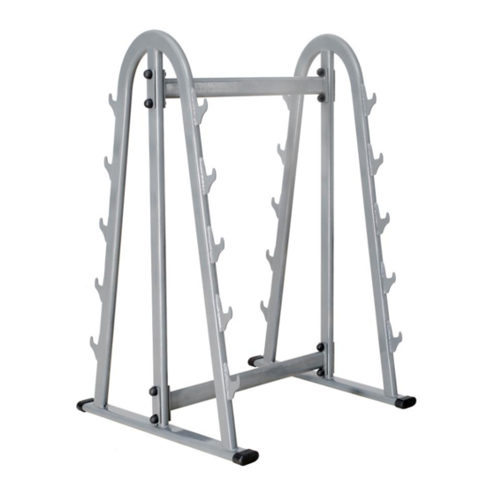 BRONZE GYM H-039 User Manual