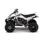 Offroad Vehicle Yamaha Raptor YFM350S Ower's Manual