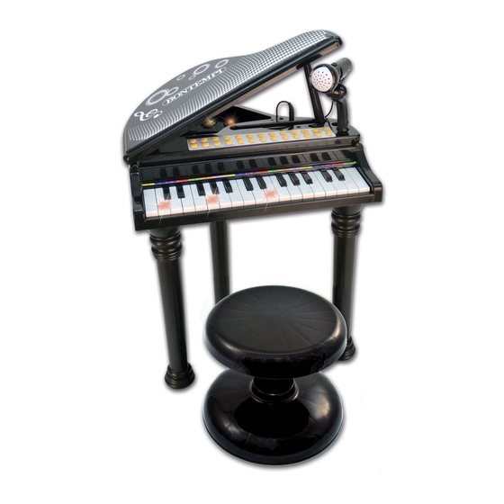 Bontempi 10 3000 Owner's Manual