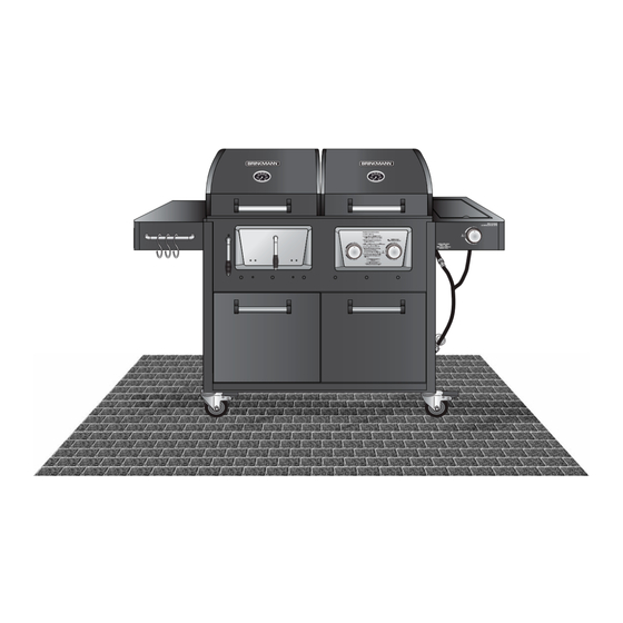 Brinkmann 810-3250-F Owner's Manual