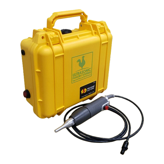 Ultrasonic P100 Operation & Maintenance Manual
