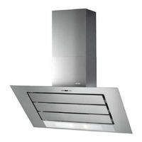 ROBLIN Vizio 2 FX Murale Instructions For Use And Installation
