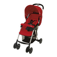 Combi Well Carry Instructions For Use & Warranty