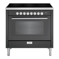 Pelgrim IF960RVS Manual