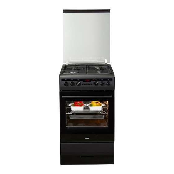 Amica SHEG 904 000 SM Instruction Manual