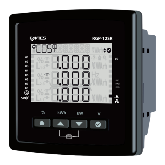 Entes RGP-12SR Power Factor Controller Manuals