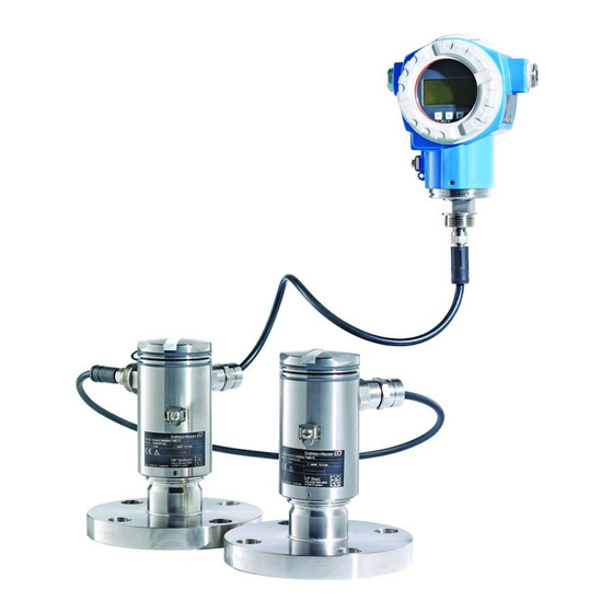 Endress+Hauser Deltabar FMD71 Installation Instruction