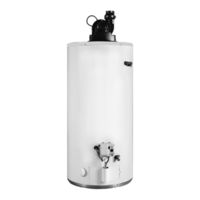 Lochinvar Water Heater User Manuals Download | ManualsLib