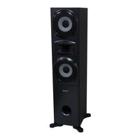 Sony SS-MSP5000 Service Manual