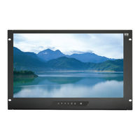 CyberView RP-HF719 User Manual