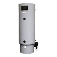 Lochinvar EcoSable LGSS200-600 The Flue Manual