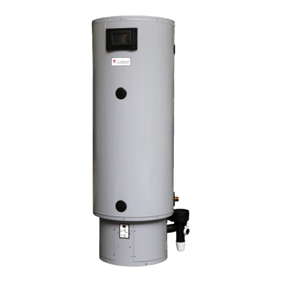 Lochinvar EcoSable LGSS200-600 The Flue Manual