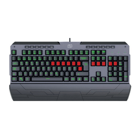Lioncast LK300 RGB Manual