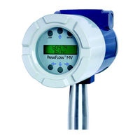 Panametrics PanaFlow MV82 User Manual