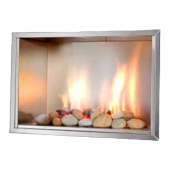 European Home VISION GAS FIREPLACE Installation, Operation And Owner's Manual