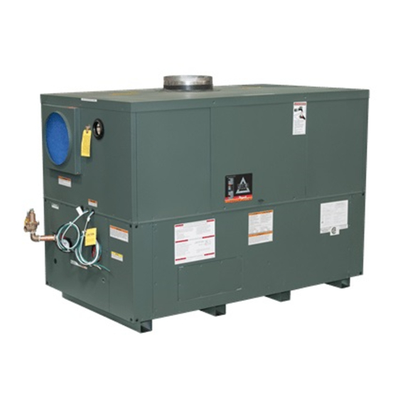 Raypak DELTA LIMITED 989B-2339B Manual