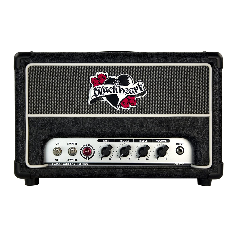 blackheart amp head