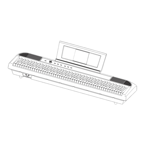 Axus AXD55 User Manual