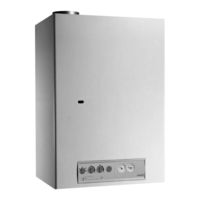 Fondital Nias Dual Line Tech BTN 24 Installation, Use And Maintenance Manual