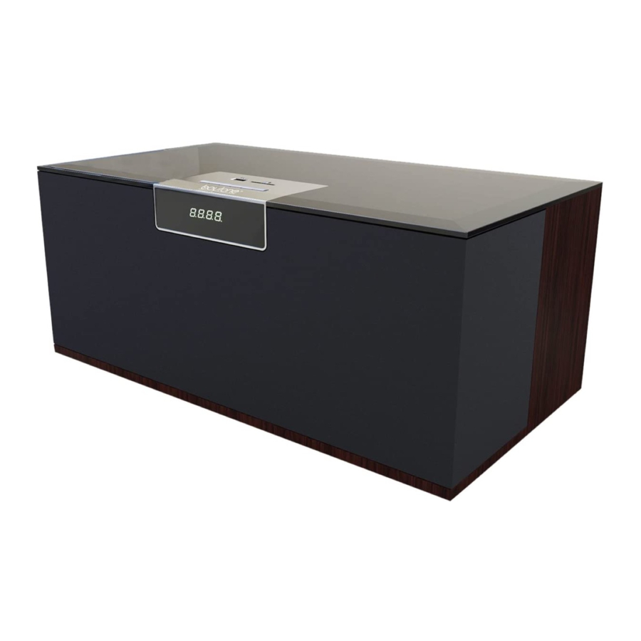 boytone BT-66B - Multimedia Speaker Manual