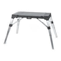 WISENT DUPLEX WORKSTATION Manual