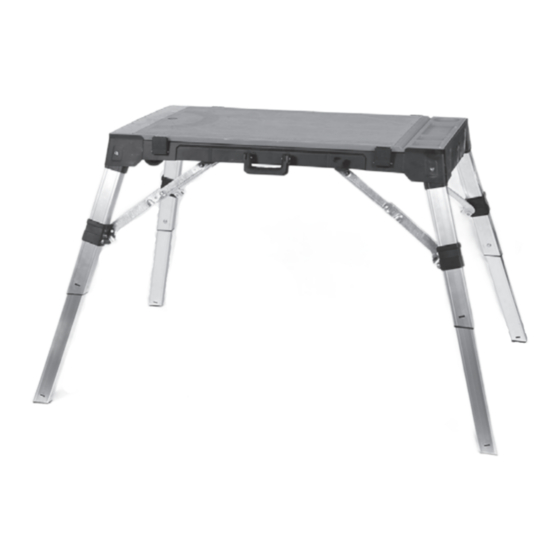 WISENT DUPLEX WORKSTATION Manual