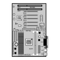 Totem TM-P2BX User Manual