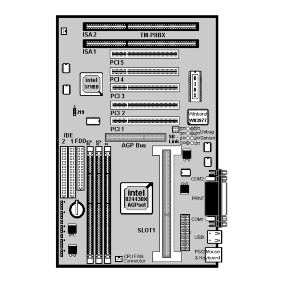 Totem TM-P2BX User Manual