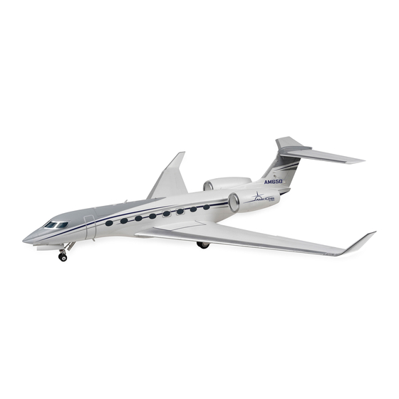 Amewi AMX Planes AM650 Manuals