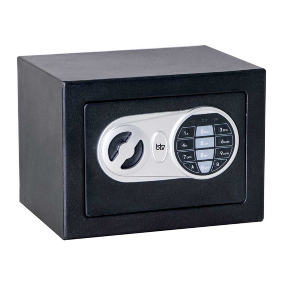 BTV MINIBANK Operating Instructions Manual
