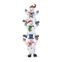 Home Accents Holiday TY416-2011 Assembly Instructions