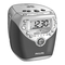 Clock Radio Philips AJ 3950 Manual
