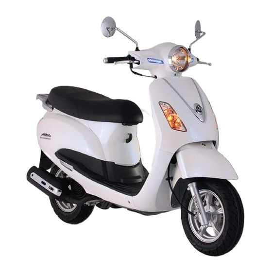 Sym 2009 FIDDLE II 125 Owner's Manual