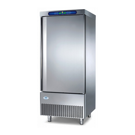 Everlasting PROF ABF 05 Use And Maintenance Manual