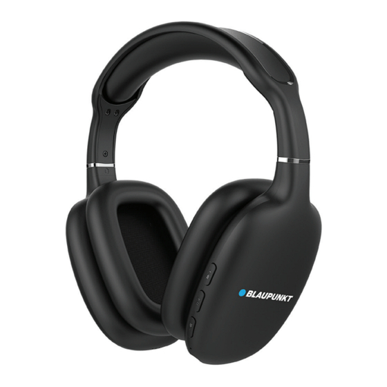 Blaupunkt BH Seris Manual