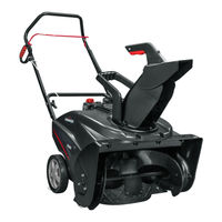 Briggs & Stratton 1697116 Setup Instructions