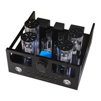 ALLNIC AUDIO L-10000 Owner's Manual