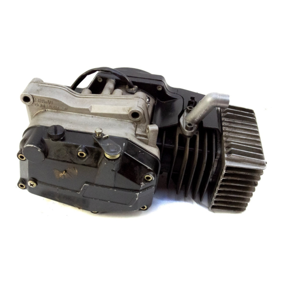 Minarelli V1 Service Manual