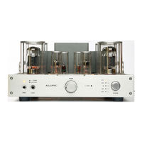ALLNIC AUDIO T-2000 Owner's Manual